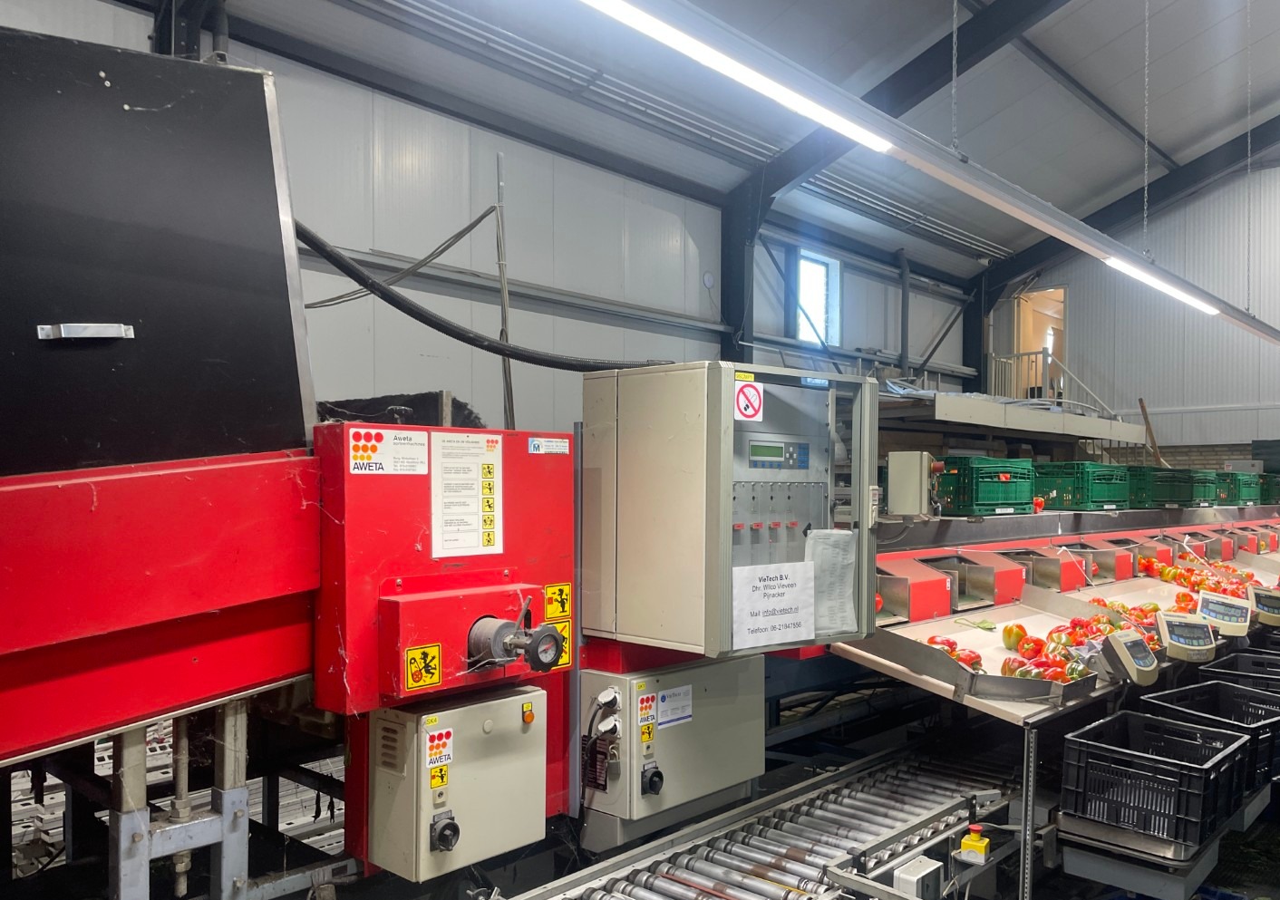 Aweta GMB4-12+1 paprikasorteermachine met opvoerband en weegschalen